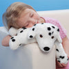 Hot Dogs Hottie Dalmatian