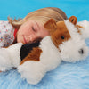 Hot Dogs Hottie Fox Terrier